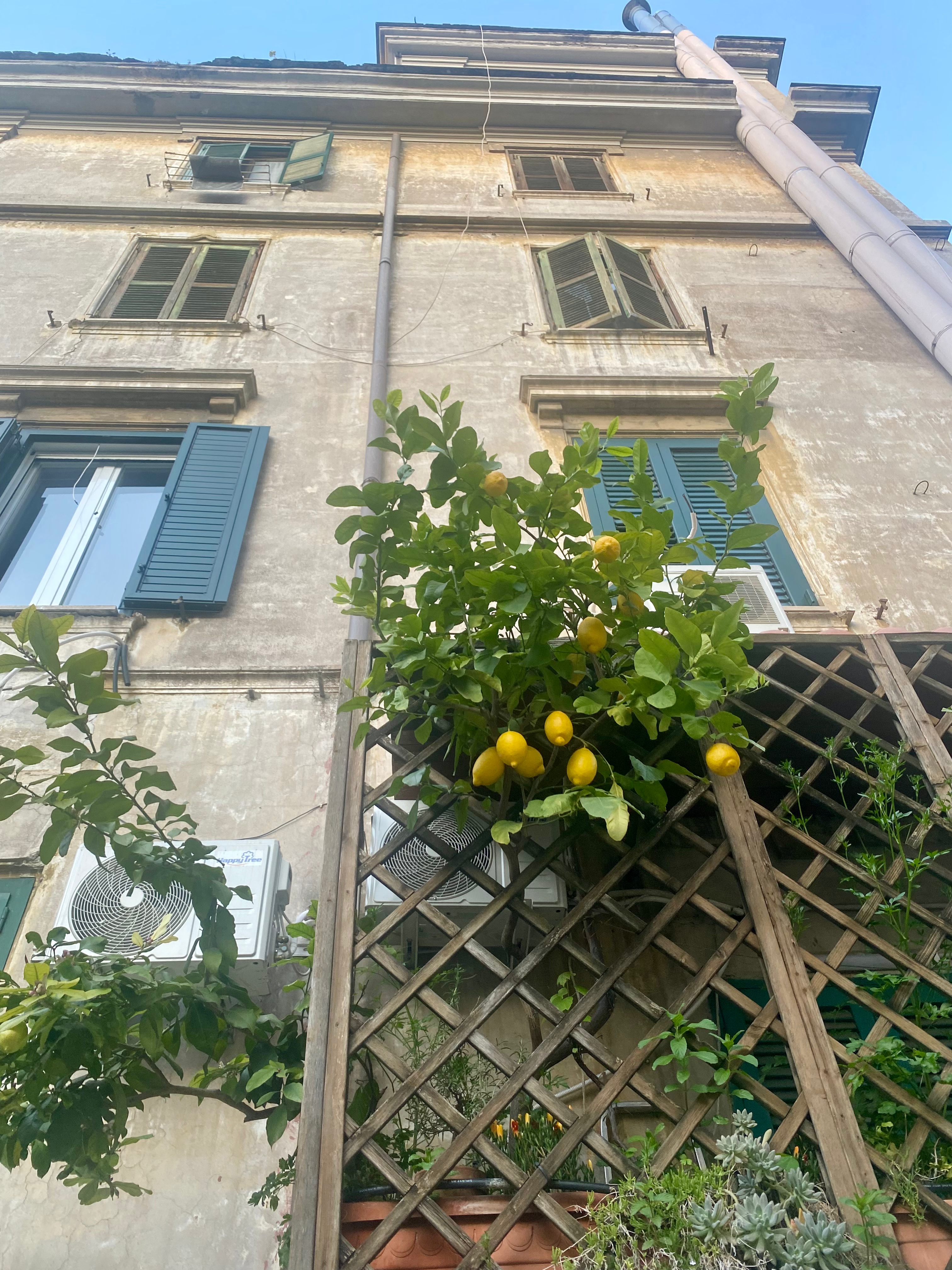 Neighborhood Guide: Testaccio, Rome